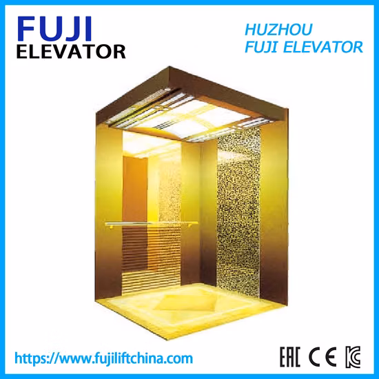 Mirror Etching S. S Lift Golden Home Ascensore panoramico per passeggeri in vendita al miglior prezzo